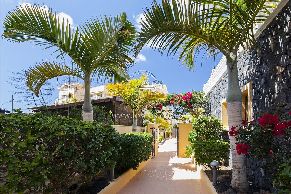 RS__PARQUE_TROPICAL_2__1_.JPG