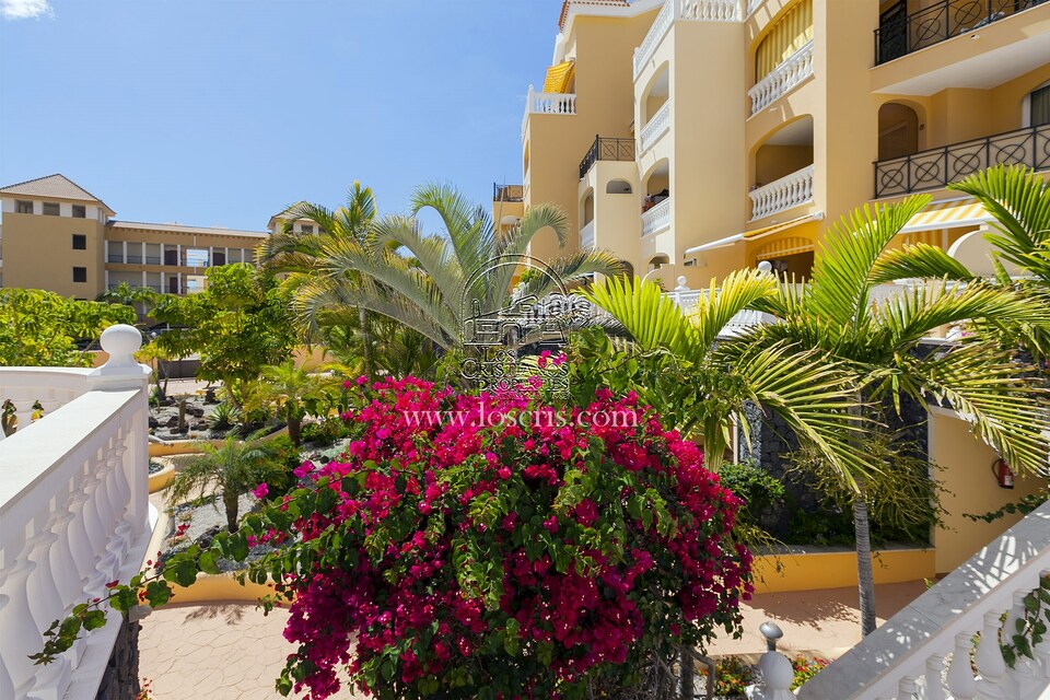 RS__PARQUE_TROPICAL_2__8_.JPG