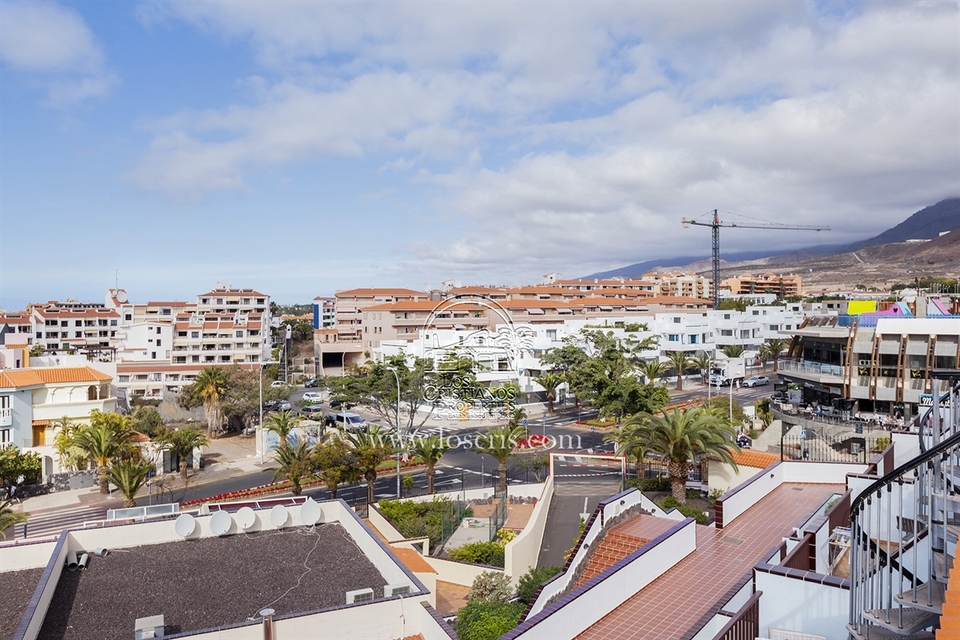 EL_MIRADOR___1_.JPG
