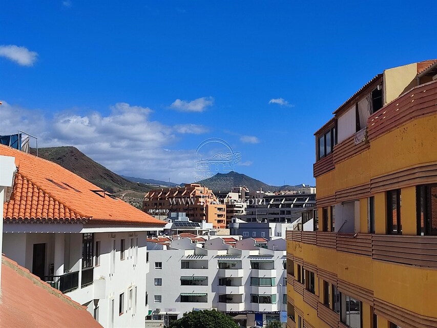 15353_128.JPG